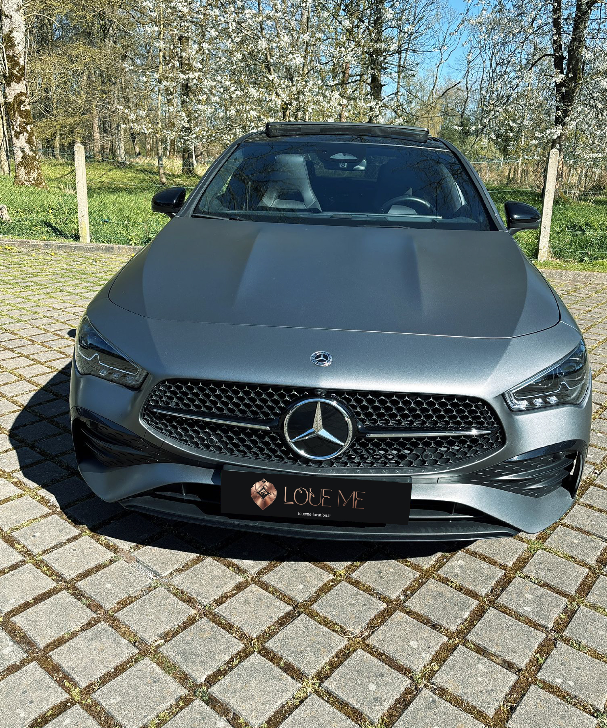mercedes face