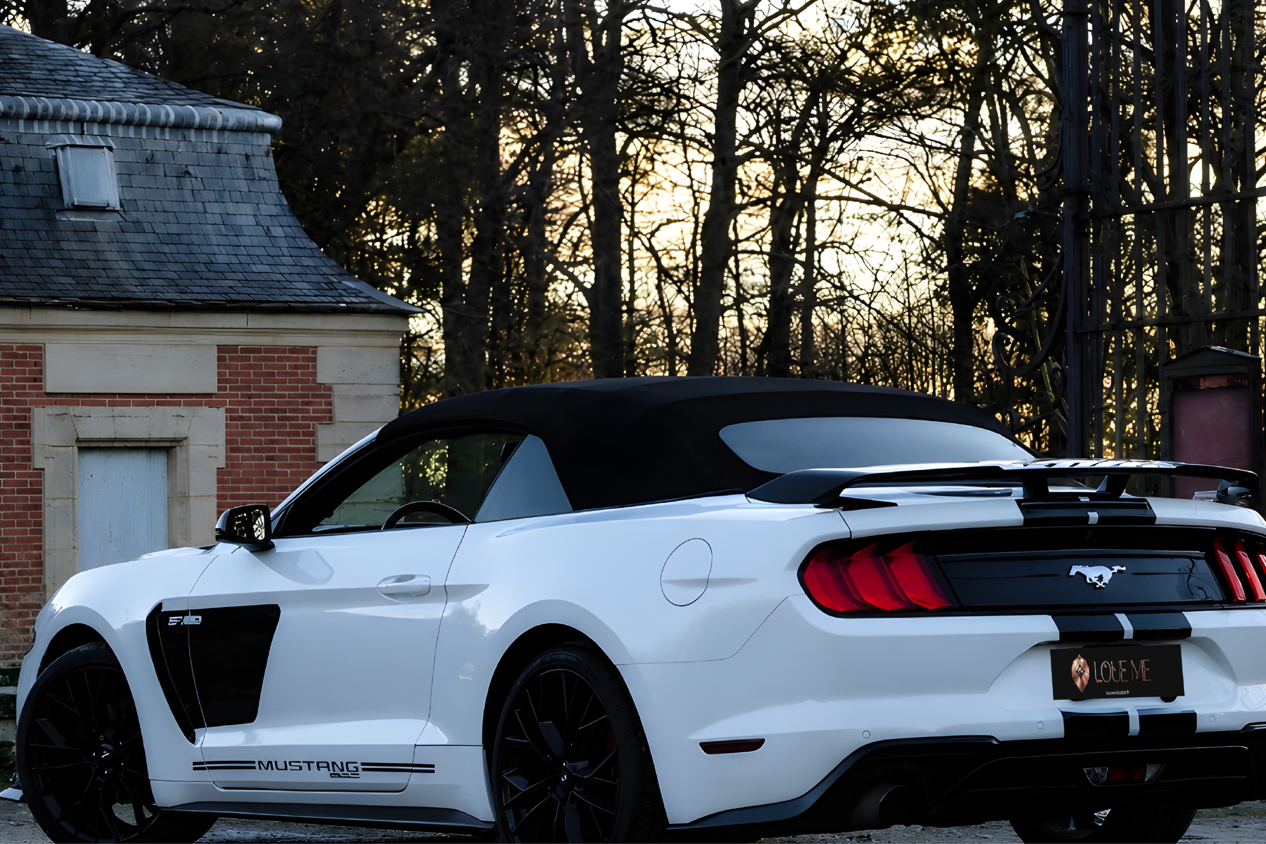 mustang v8