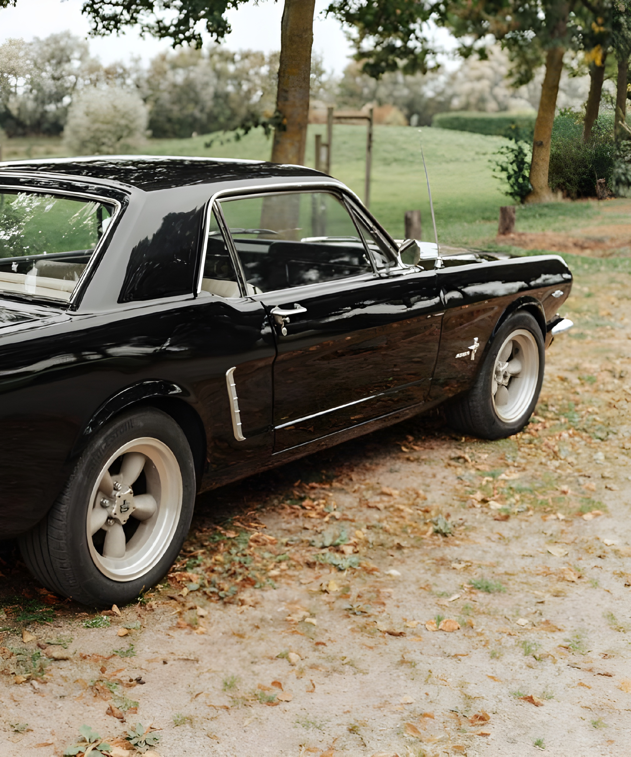 mustang 1966