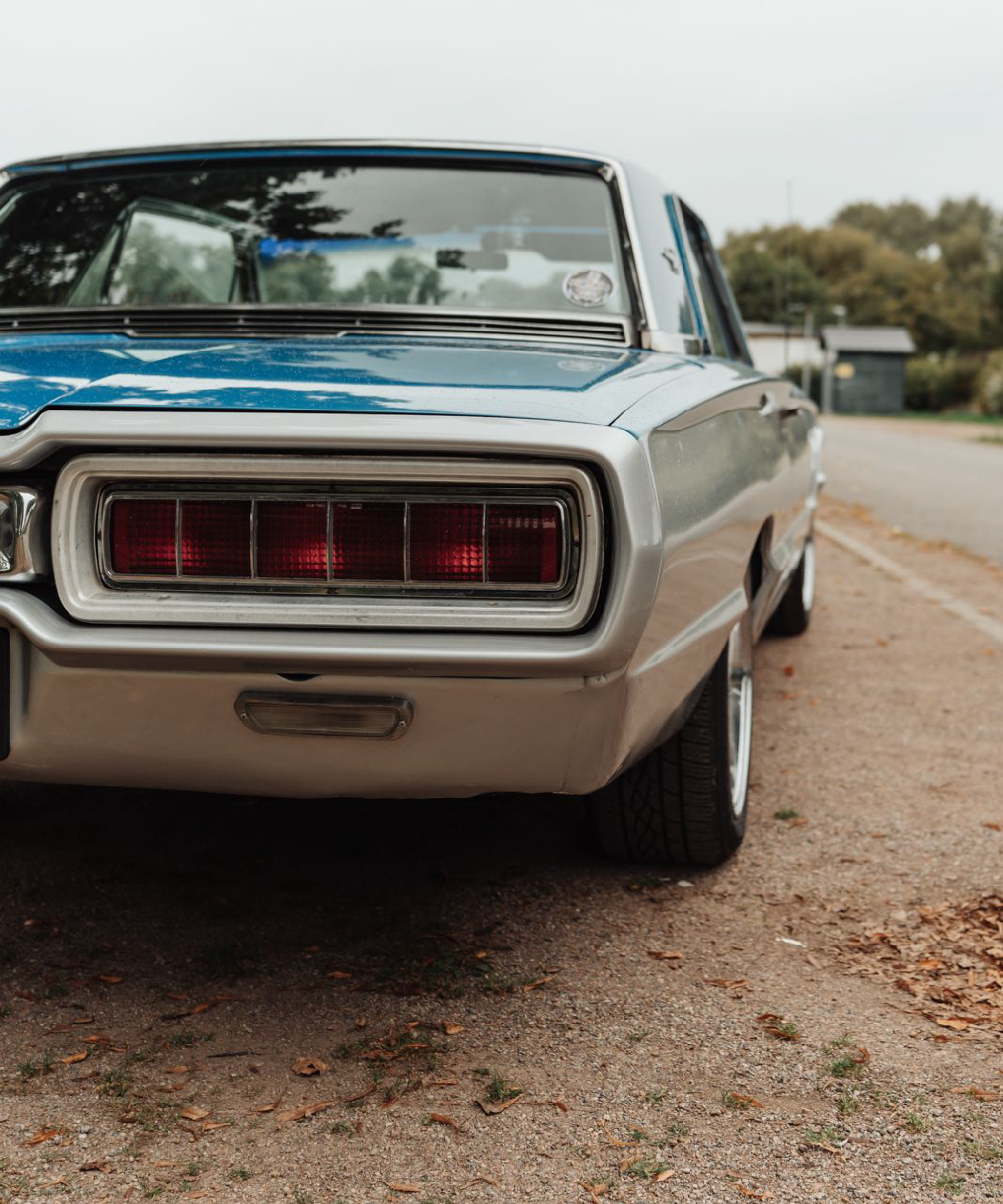 mustang charger 3 500X600