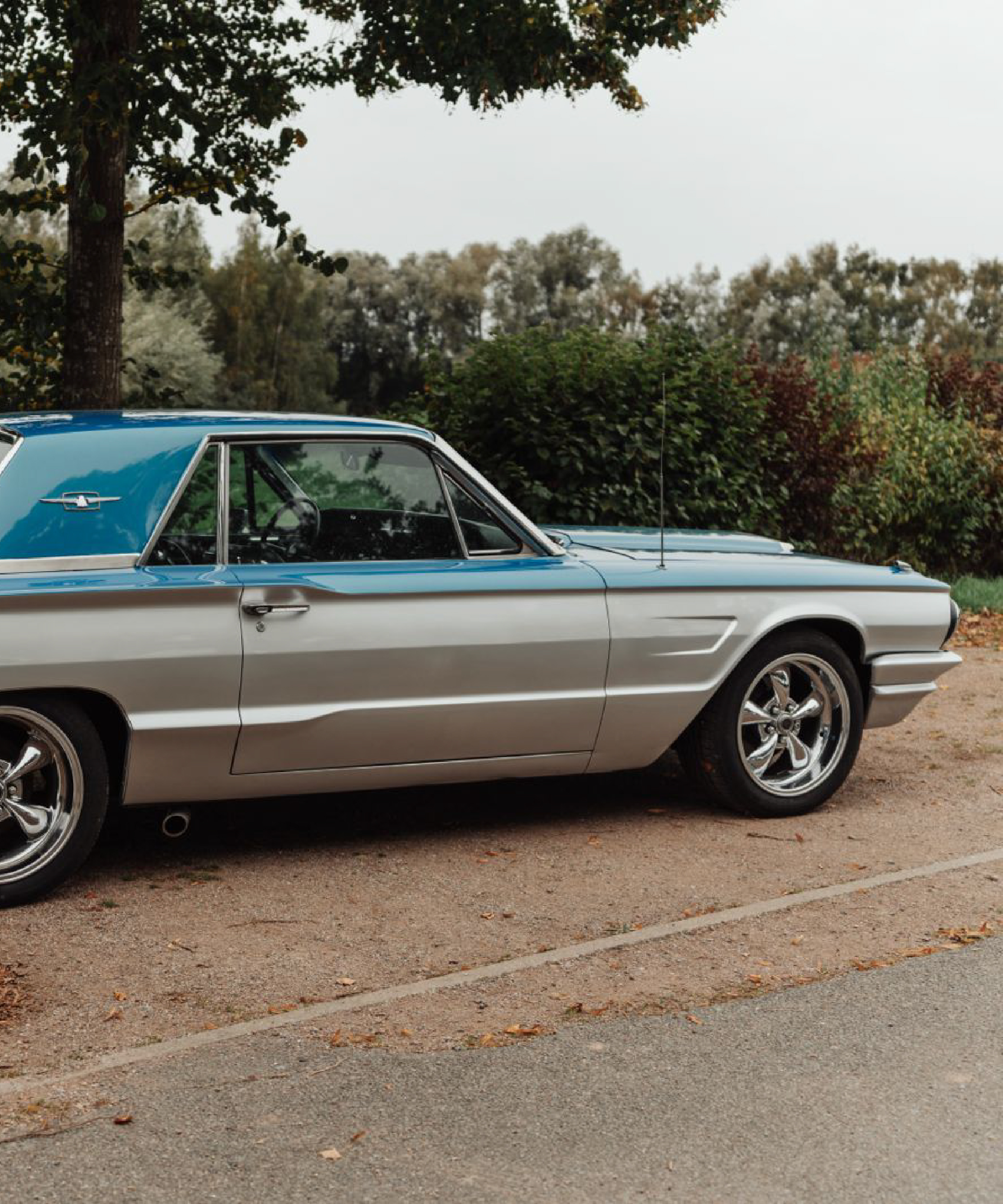 mustang charger 5 500X600