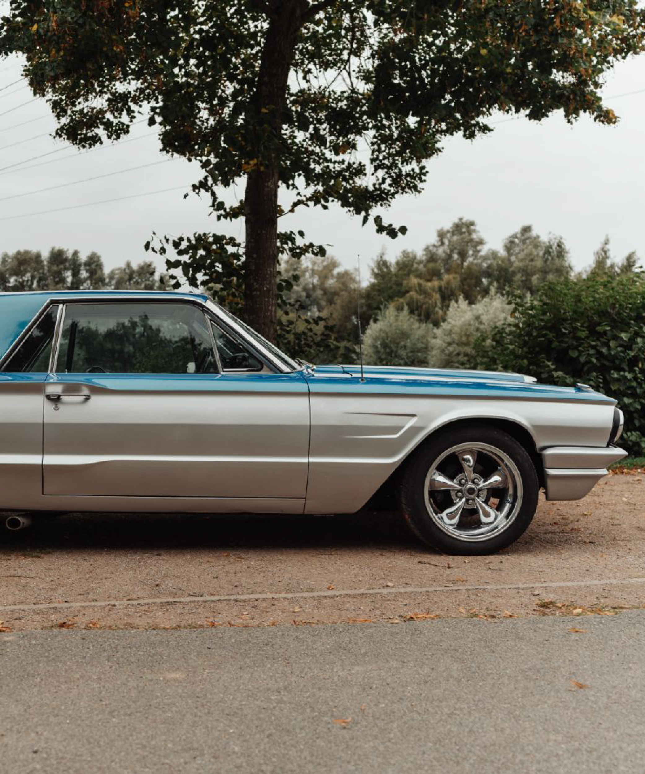 mustang charger 6 500X600