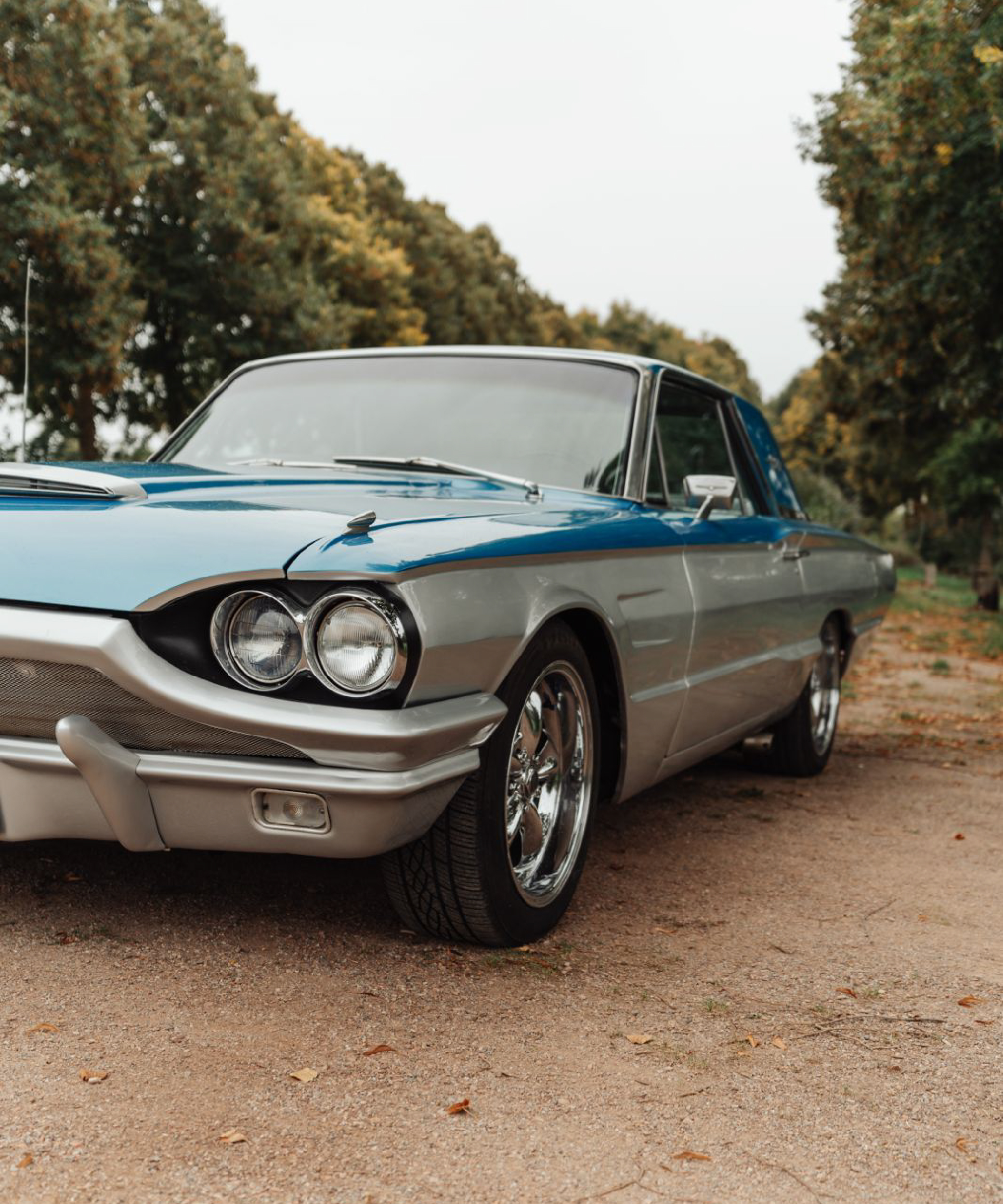 mustang charger 7 500X600